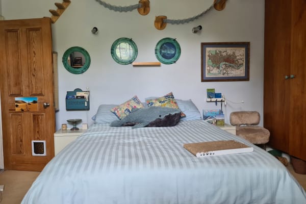 House sit in Islington, United Kingdom