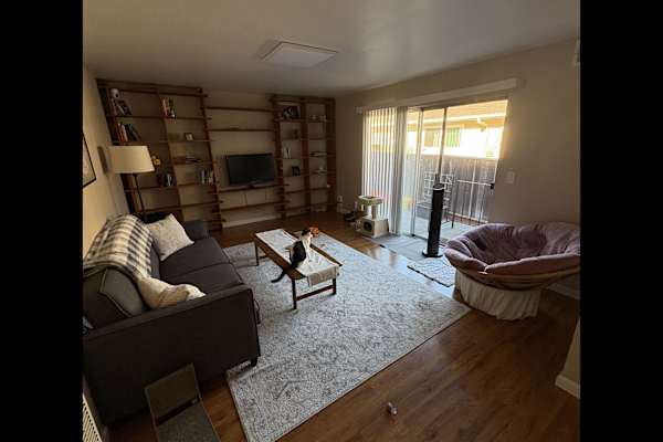 House sit in Alameda, CA, US