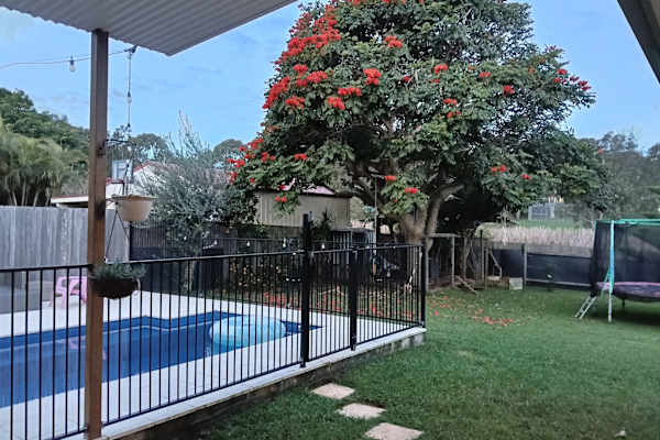 House sit in Port Macquarie, NSW, Australia