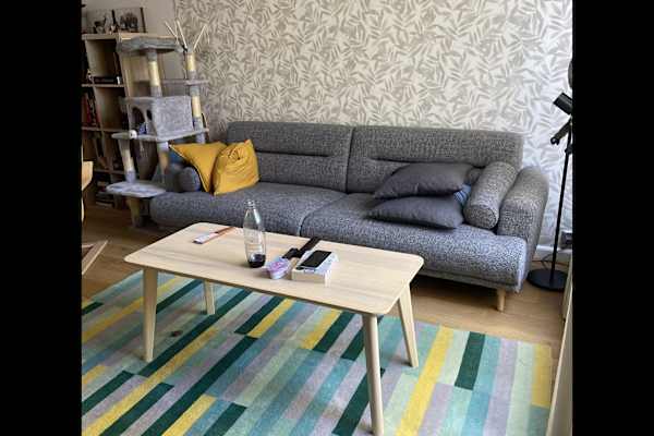 House sit in Utrecht, Netherlands