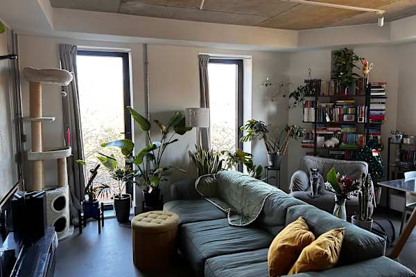 House sit in Sheffield, United Kingdom