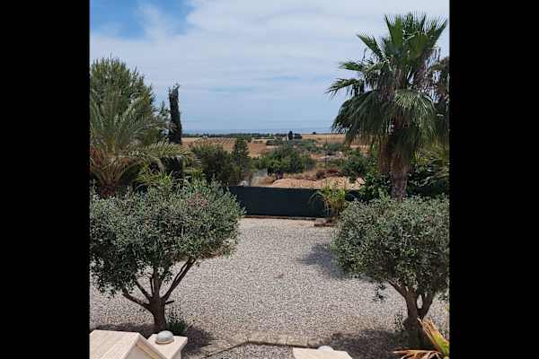 House sit in Vokolída, Cyprus