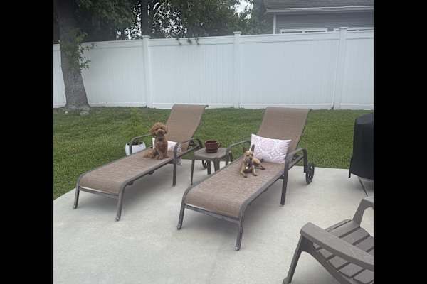 House sit in Bluffton, SC, US