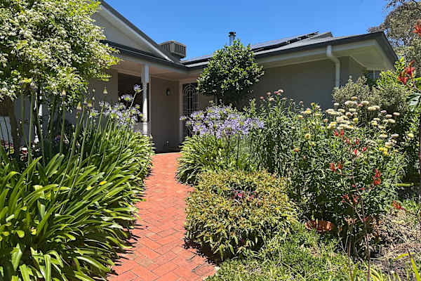 House sit in Adelaide, SA, Australia