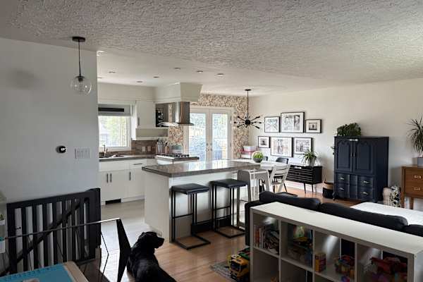 House sit in Calgary, AB, Canada