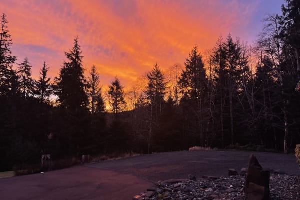 House sit in Astoria, OR, US