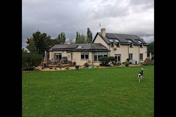 House sit in Straffan, Ireland
