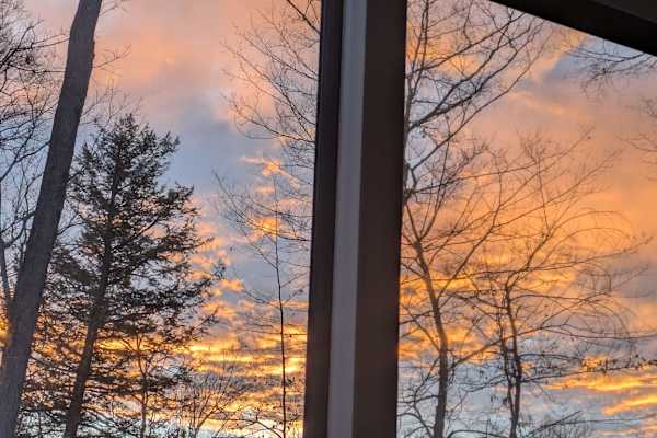 House sit in Hastings, ON, Canada