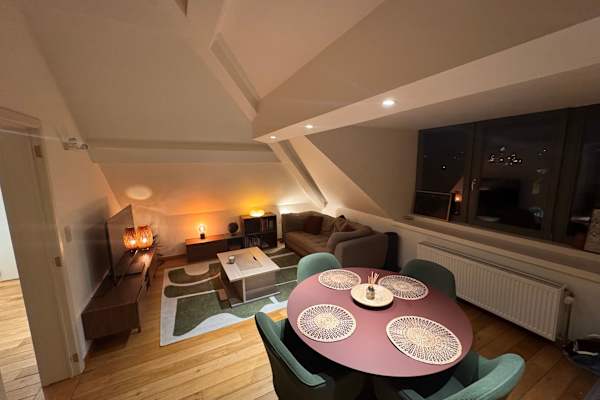 House sit in Ixelles, Belgium