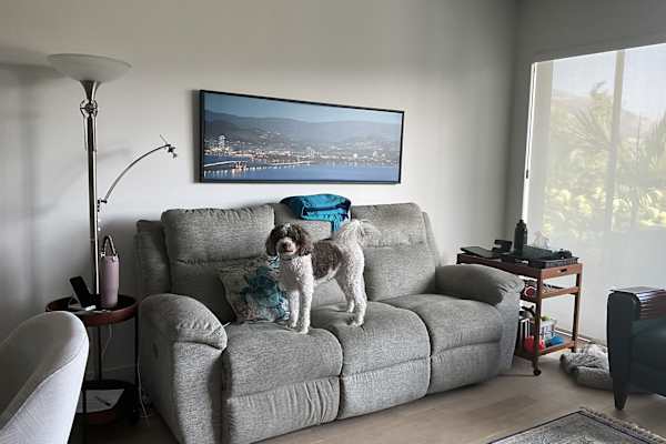 House sit in Kelowna, BC, Canada