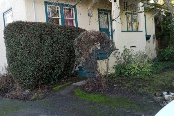 House sit in Victoria, BC, Canada