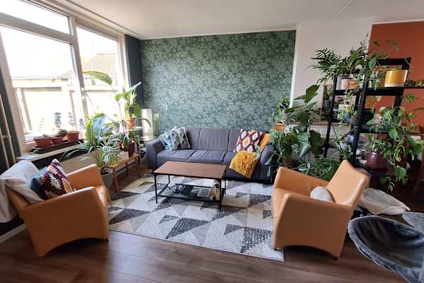House sit in Oost-Souburg, Netherlands