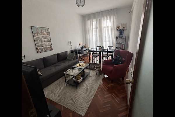House sit in Madrid, Spain