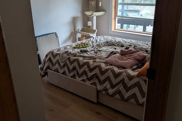 House sit in Yelm, WA, US