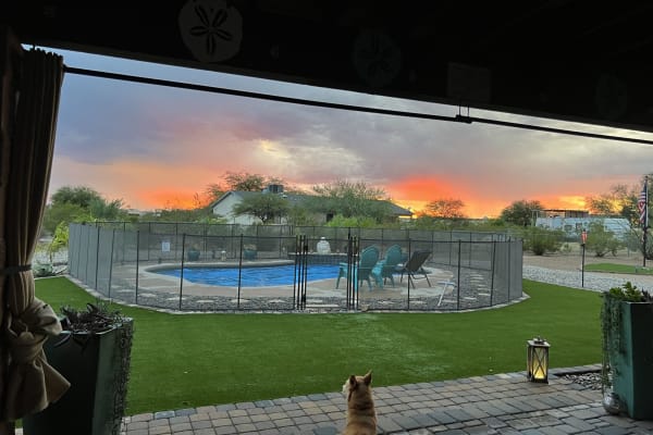 House sit in Tucson, AZ, US