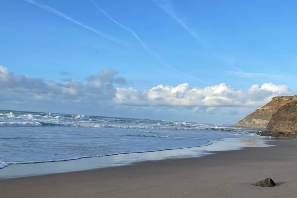 House sit in Cambelas, Portugal