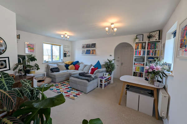 House sit in Barnstaple, United Kingdom