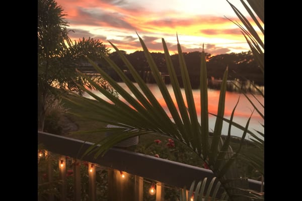 House sit in West Bradenton, FL, US