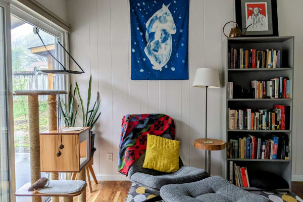 House sit in Austin, TX, US