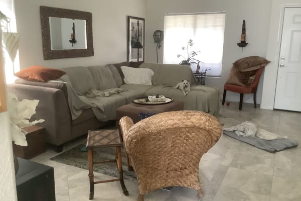 House sit in Las Vegas, NV, US