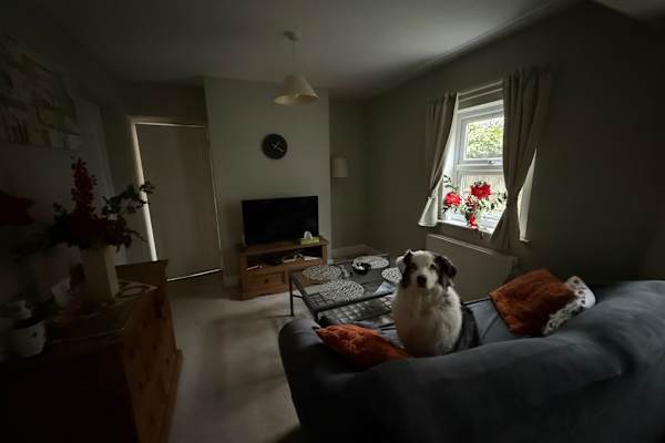 House sit in Acle, United Kingdom