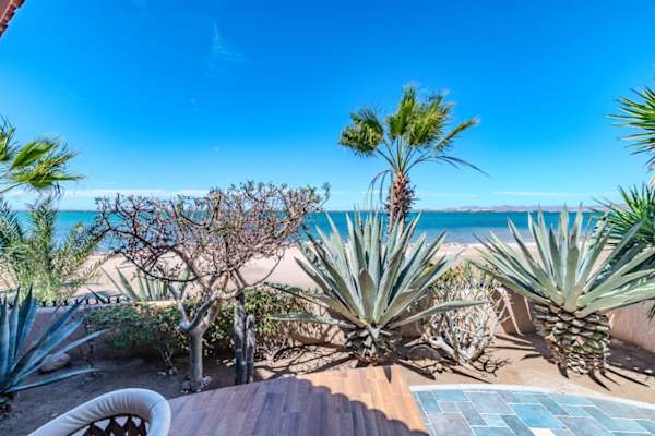 House sit in La Paz, Mexico