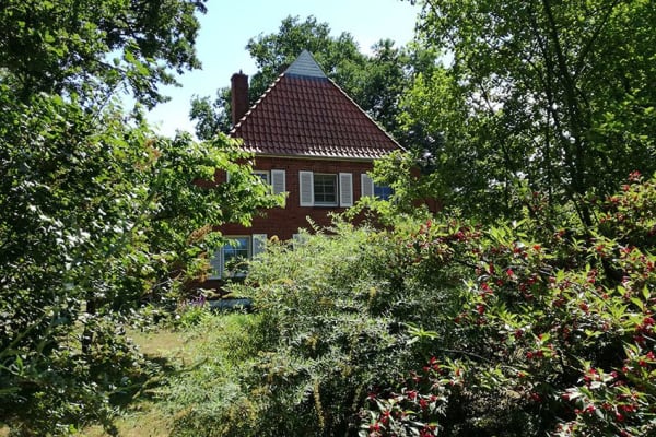 House sit in Lüneburg, Germany