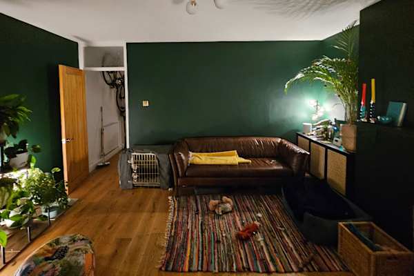 House sit in London, United Kingdom