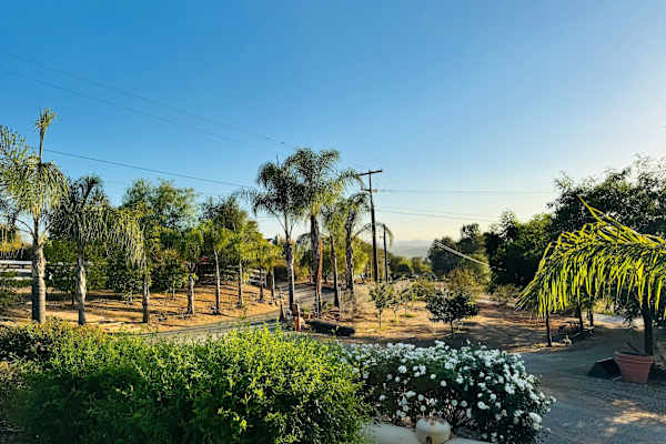 House sit in Valley Center, CA, US