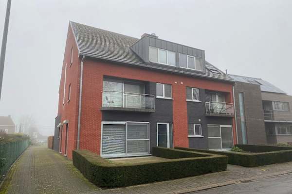 House sit in Wezemaal, Belgium