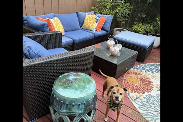 House sit in Alameda, CA, US