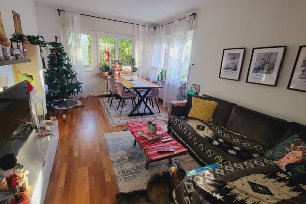 House sit in Zürich, Switzerland