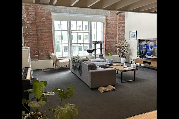 House sit in Wellington, New Zealand