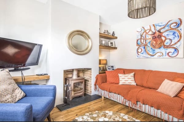 House sit in Winchester, United Kingdom