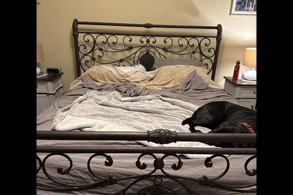 House sit in Lake Elmo, MN, US