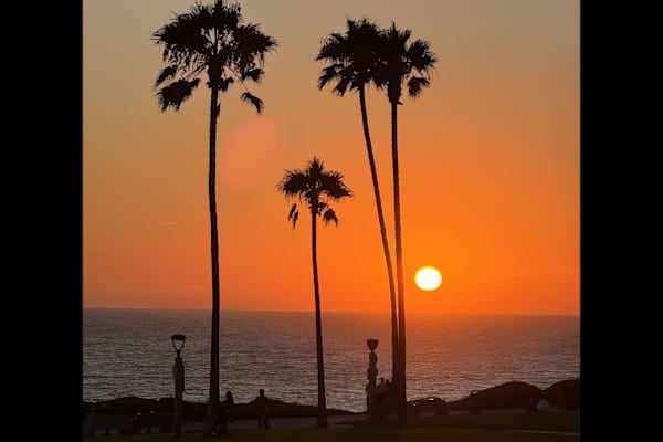 House sit in Dana Point, CA, US