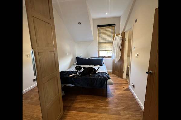 House sit in London, United Kingdom