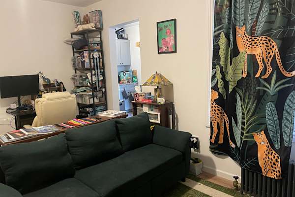 House sit in New York City, NY, US