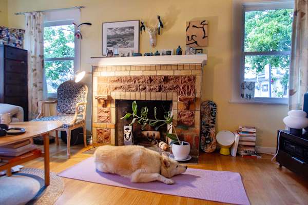 House sit in Berkeley, CA, US
