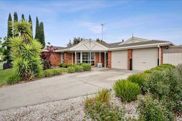 House sit in Geelong, VIC, Australia