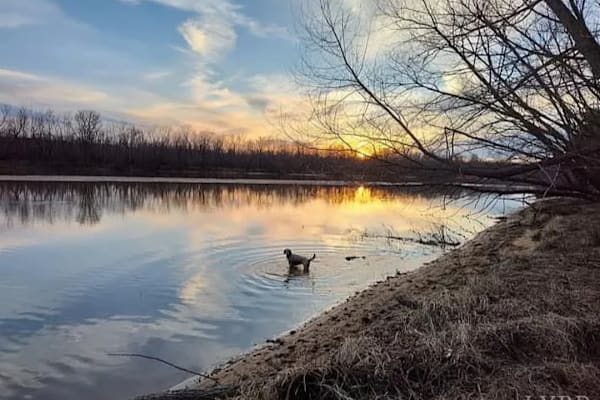 House sit in Scottsburg, VA, US