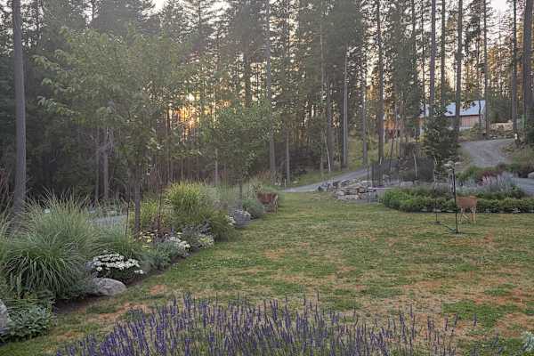 House sit in Bowen Island, BC, Canada