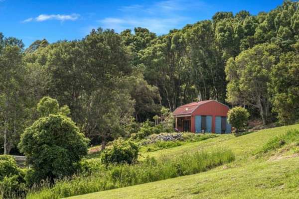 House sit in Lennox Head, NSW, Australia