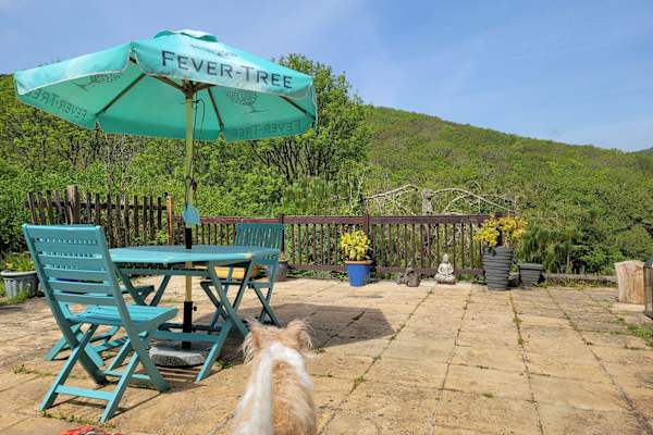 House sit in Looe, United Kingdom