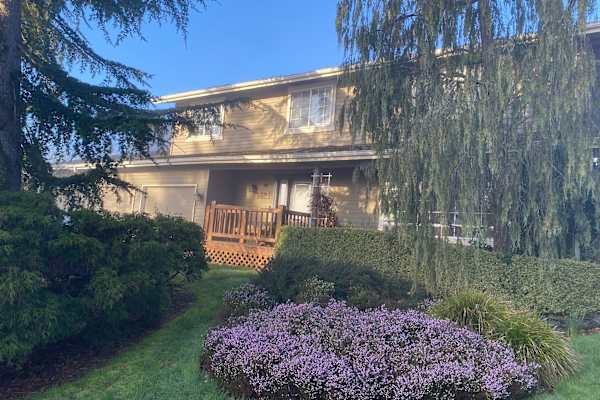 House sit in Bellevue, WA, US