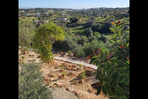 House sit in Carvoeiro, Portugal