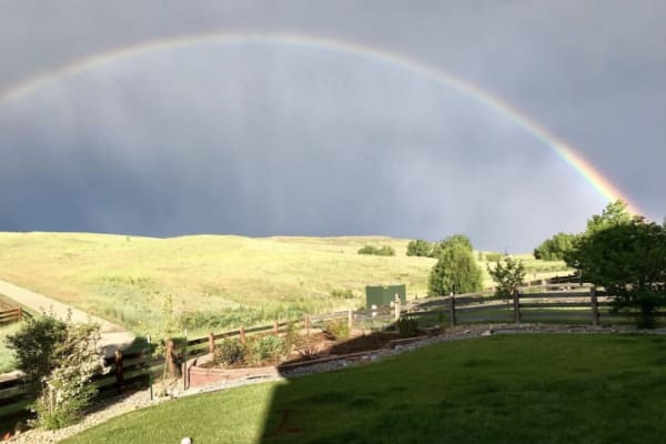 House sit in Erie, CO, US