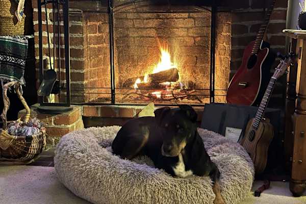 House sit in Mill Valley, CA, US