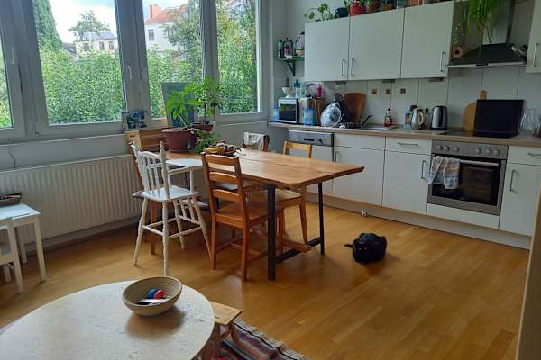 House sit in Bremen, Germany