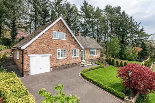 House sit in Prestbury, United Kingdom